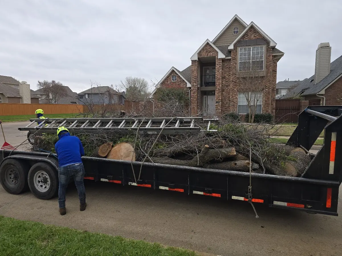 Expert Tree Fertilization with proper safety equipment in Belle Fourche